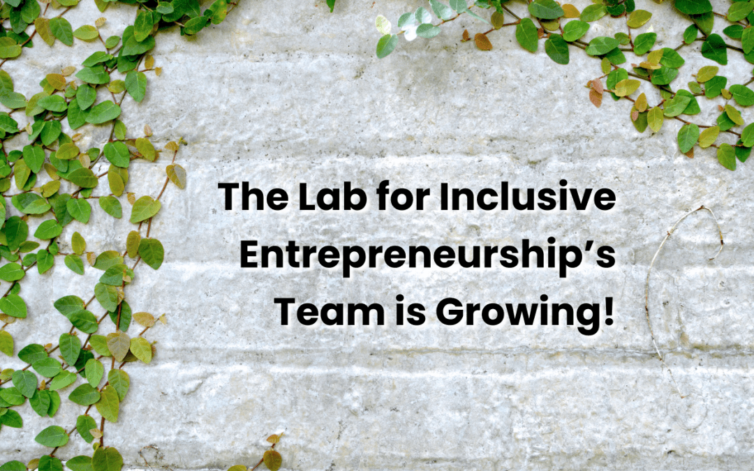 The Lab for Inclusive Entrepreneurship’s Team is Growing!